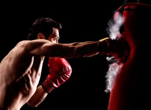 Gimnasio en Boadilla del Monte | Entrenador Personal | Entrenador de Boxeo | Nutricionista Deportivo Personal